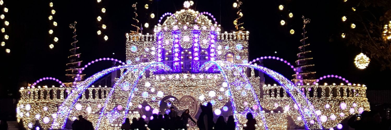 aonekoᓚᘏᗢ banner