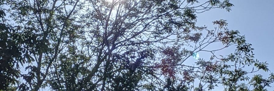 ChristinaPearse's profile banner image
