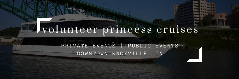VolPrincess's profile banner image