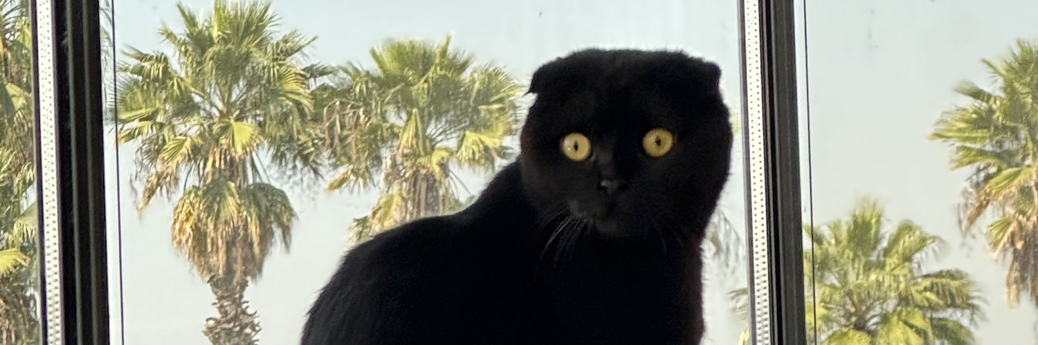 IsslZMADAM's profile banner image