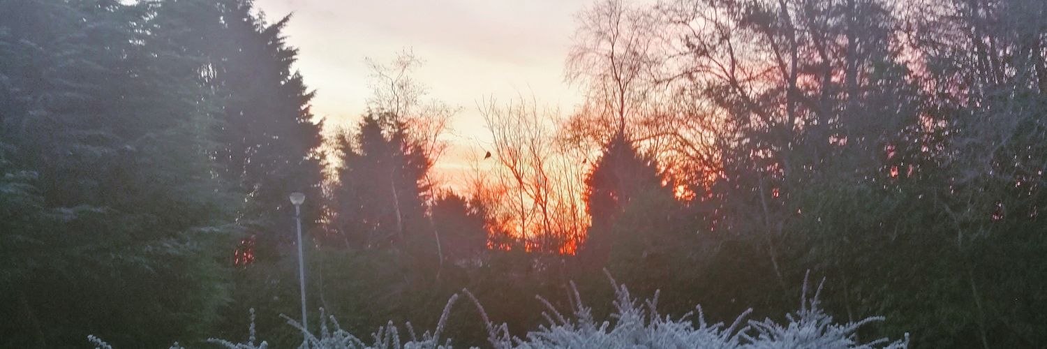 returnofthedeb's profile banner image