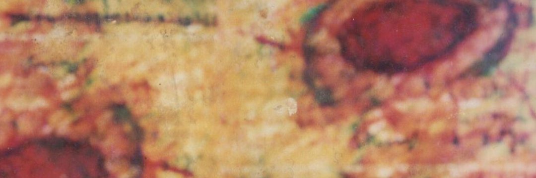 🎙️Fran Trujillo (Podcaster) Inter Y Net Podcast banner