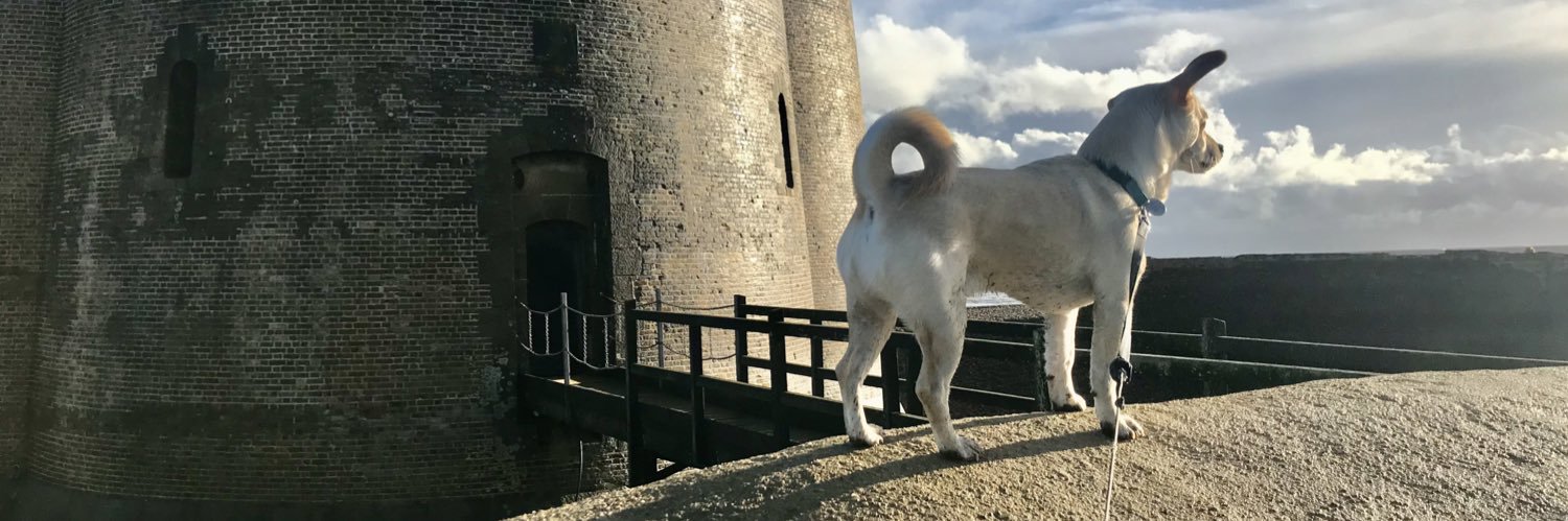 carly Nicholls banner