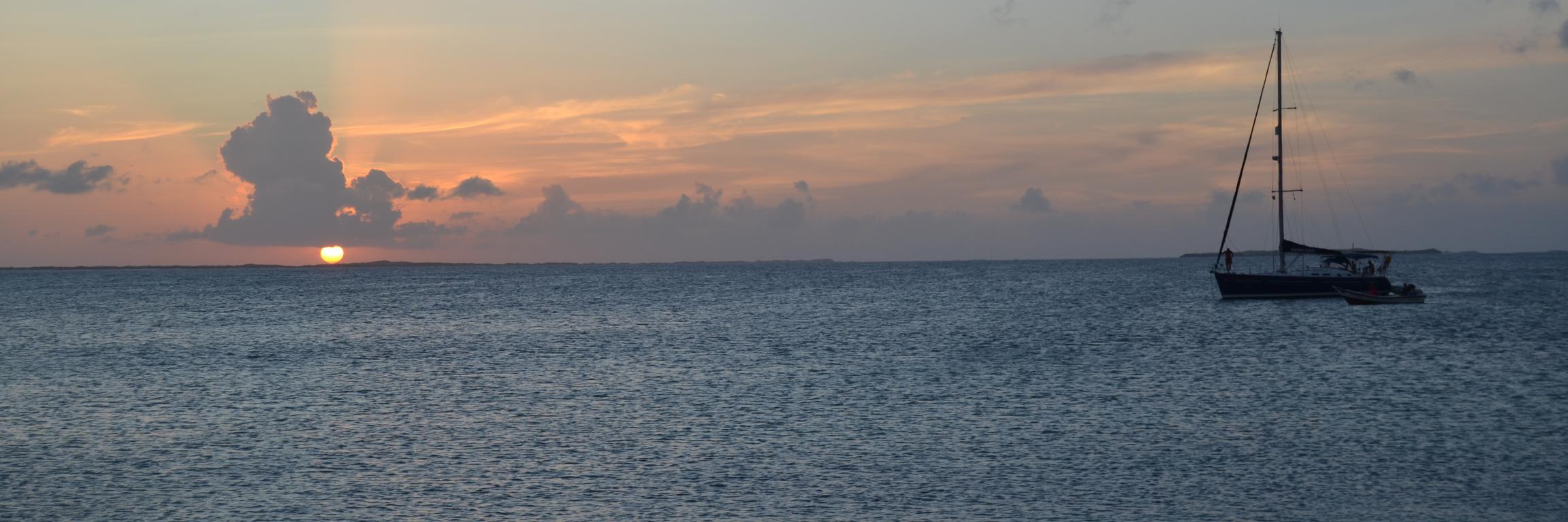 gveronicav's profile banner image