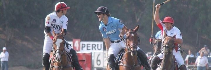 polonewsuy's profile banner image