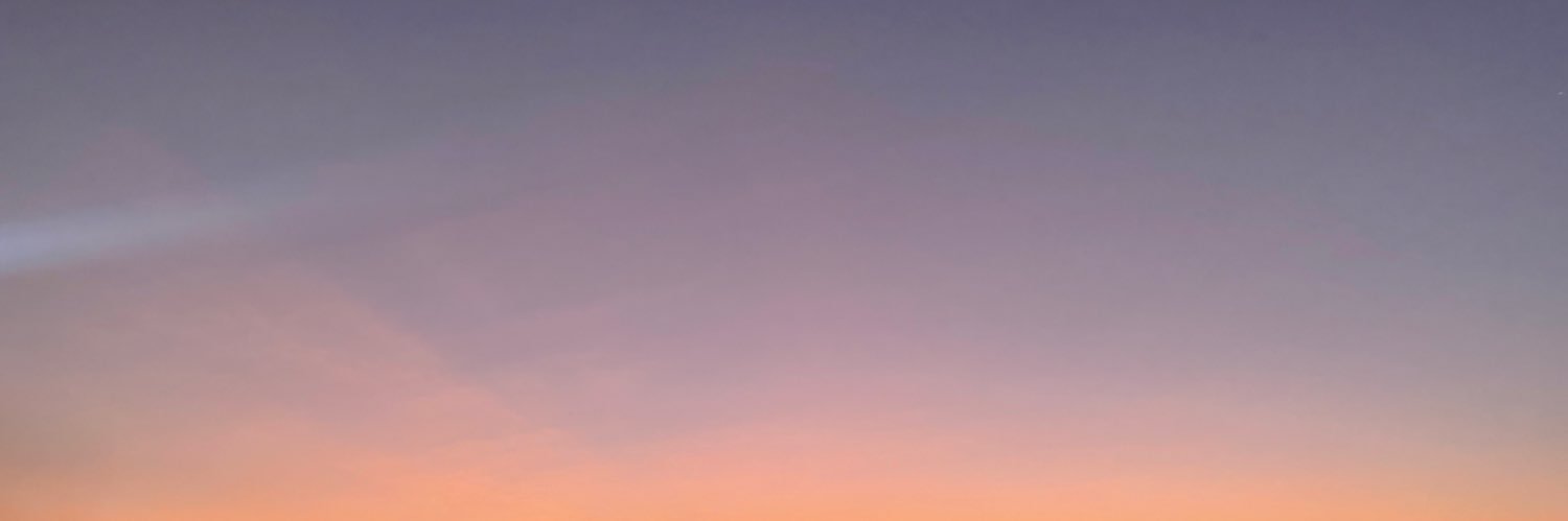 Dynasingly's profile banner image