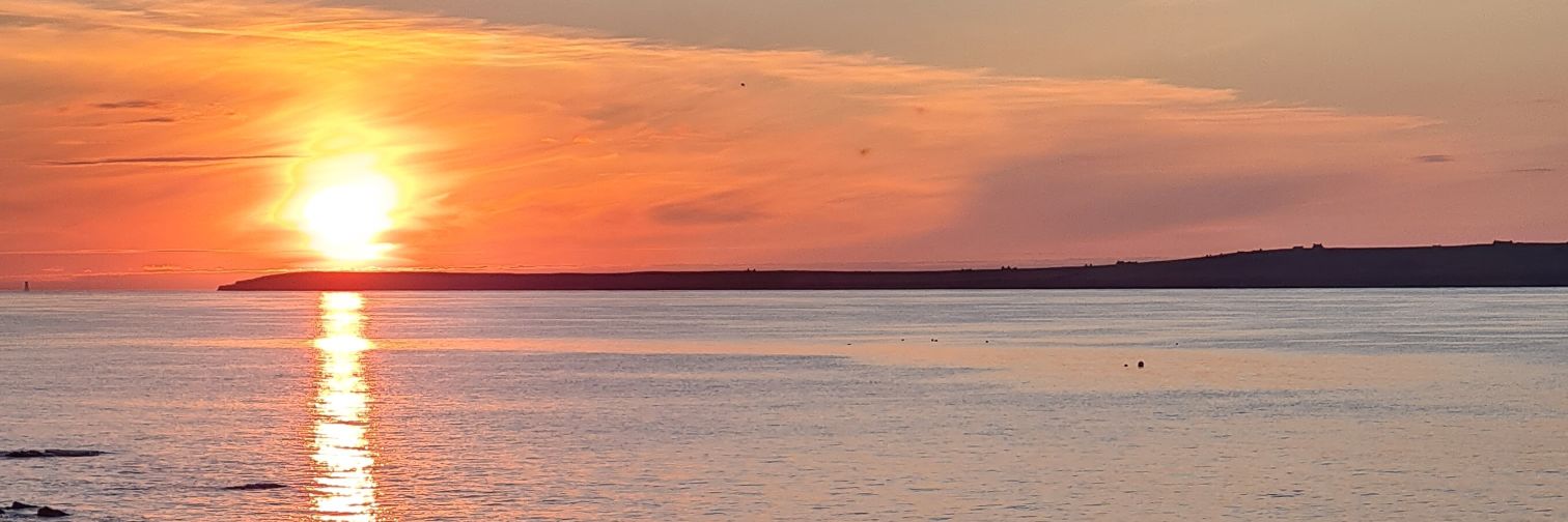 lucyelmer's profile banner image