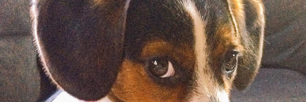 chrispeisker's profile banner image