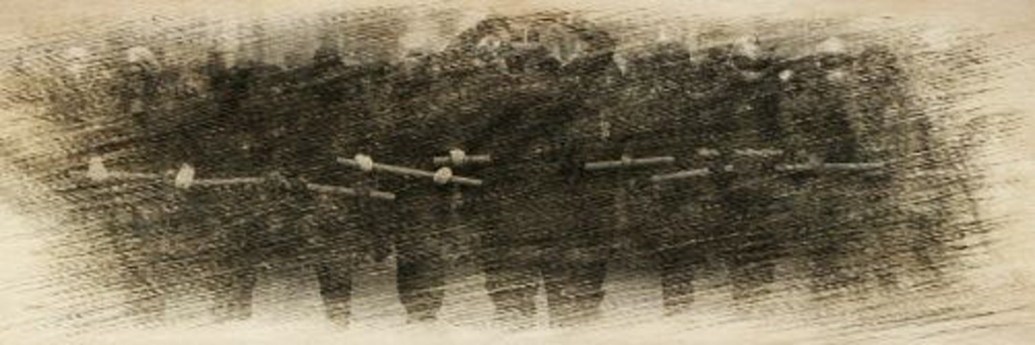 sofiazoo's profile banner image