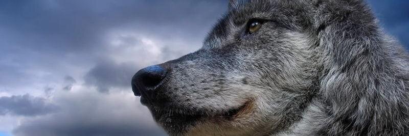 Enrique David Ortiz banner