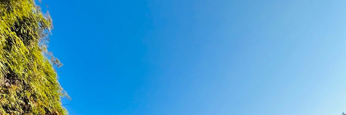 Diegoreja's profile banner image