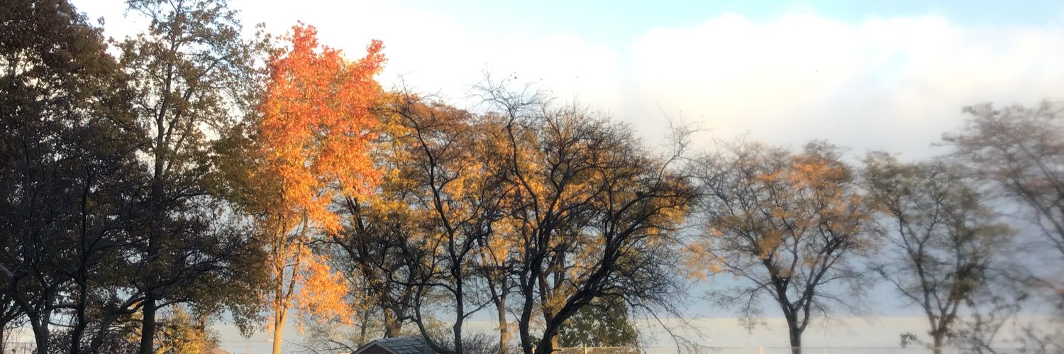 moedial528's profile banner image