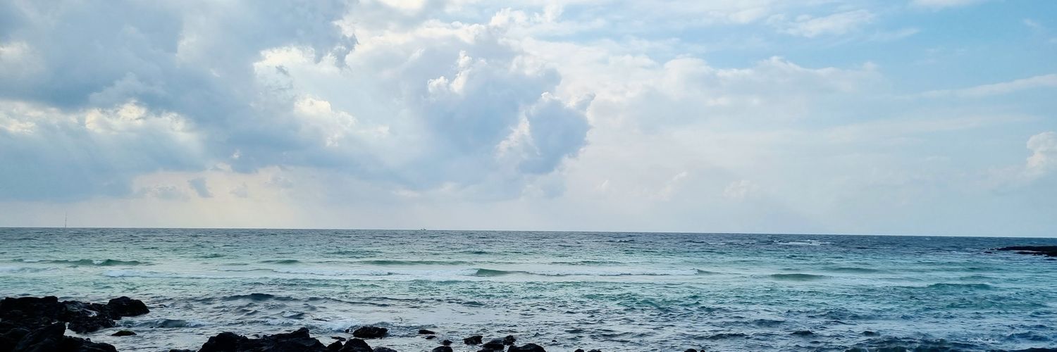 mini_db's profile banner image