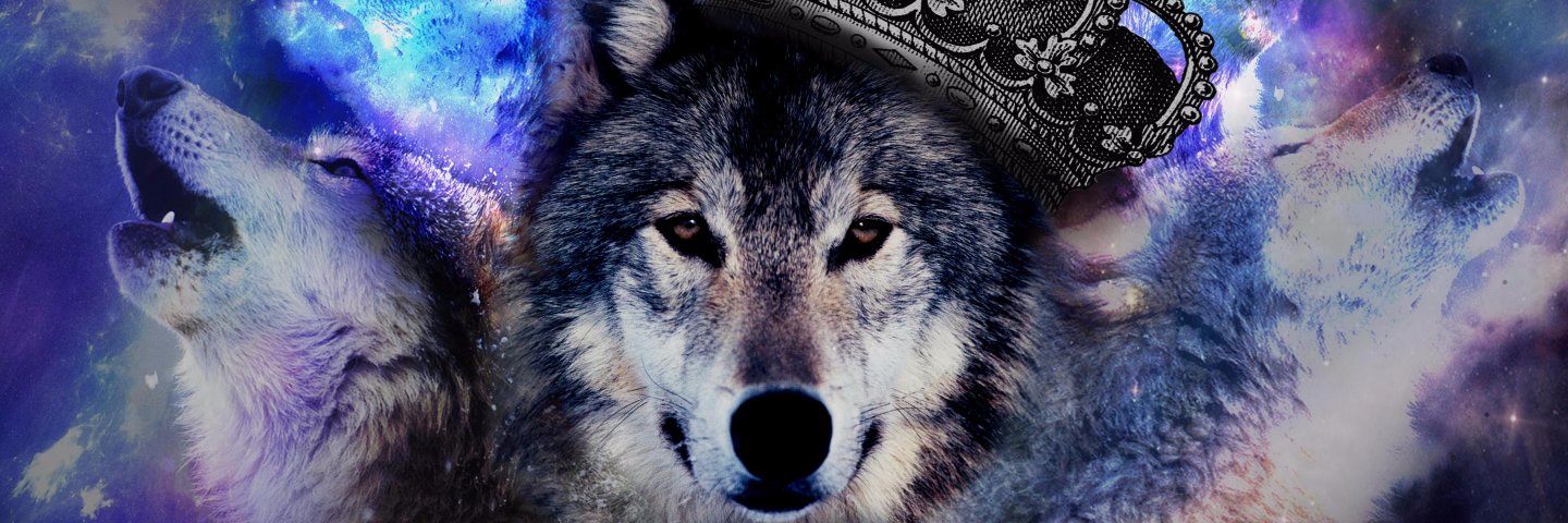 rafapizzol's profile banner image