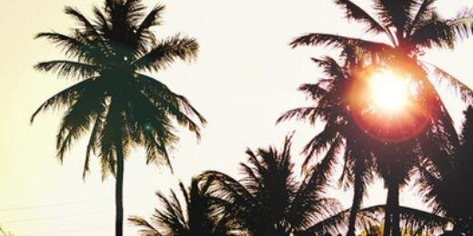 carolinepickler's profile banner image