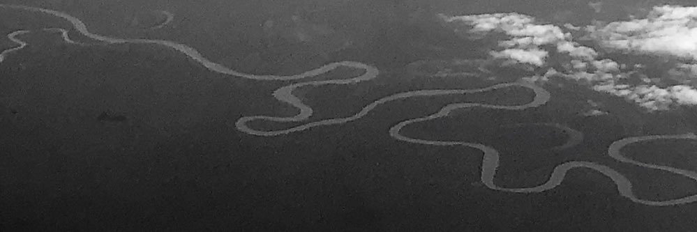 Paula Dupraz-Dobias banner