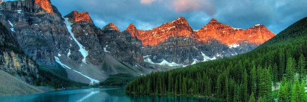 Les Hagen MSM banner