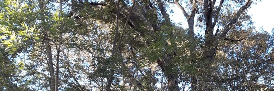 jerrysm5928's profile banner image