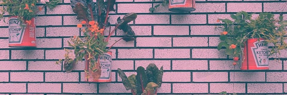 DOCSE's profile banner image