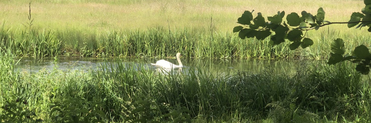 Tristan Cummings banner