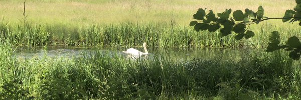 Tris123 Profile Banner