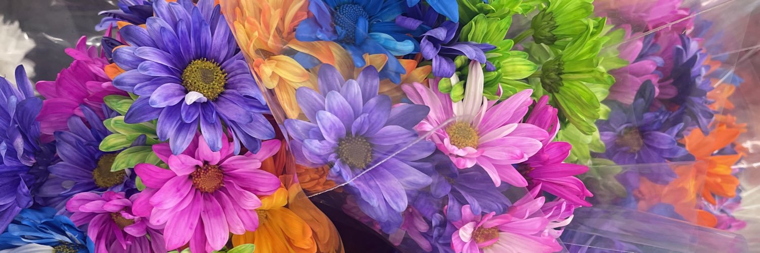 ToniWillWrite's profile banner image