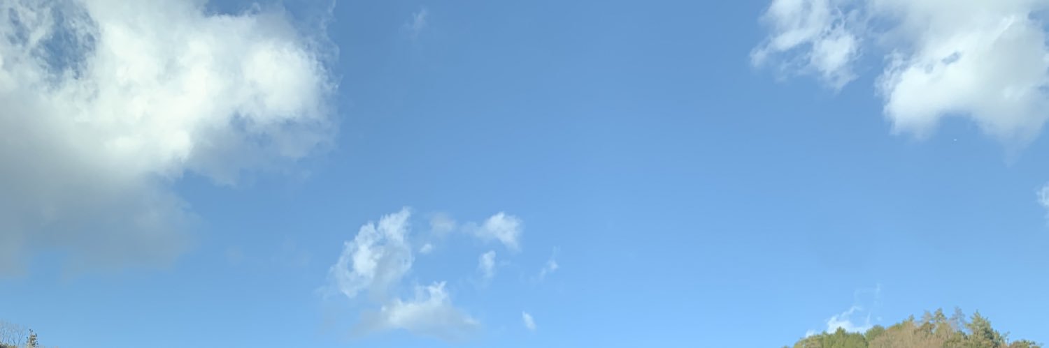ちな banner