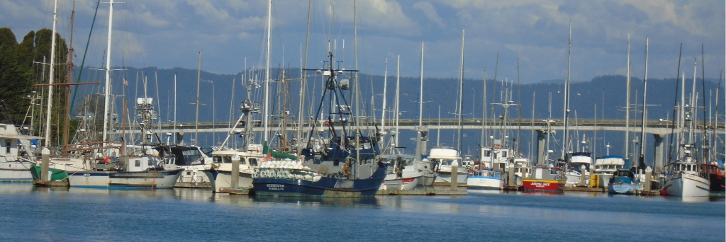 MycheWorth's profile banner image