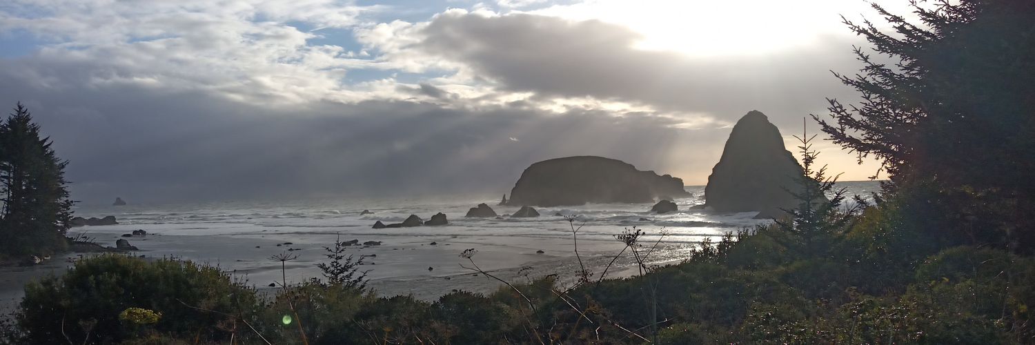BeaverMediaPNW's profile banner image