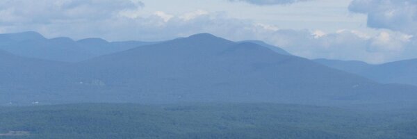 stefaniei Profile Banner