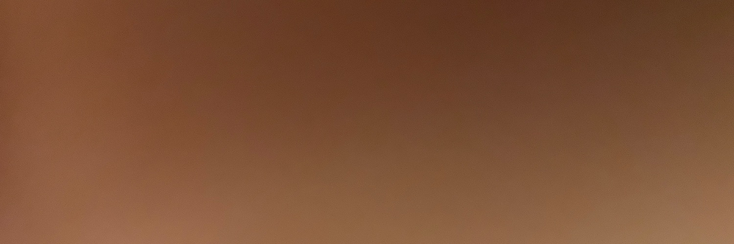 felinorama's profile banner image