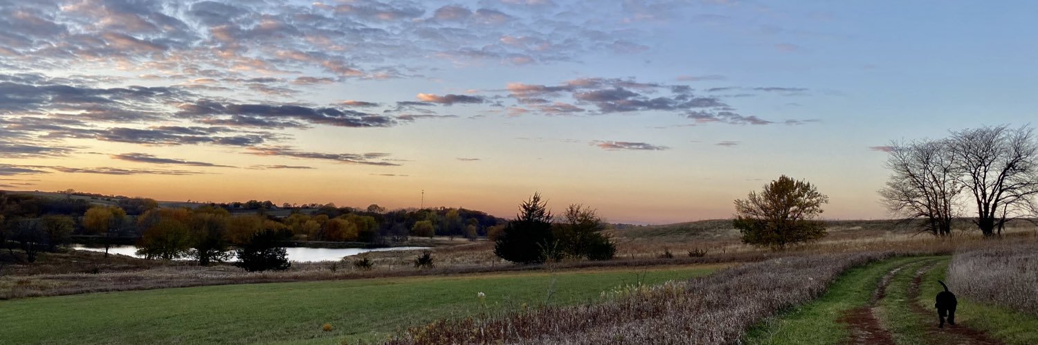 e_lichter's profile banner image