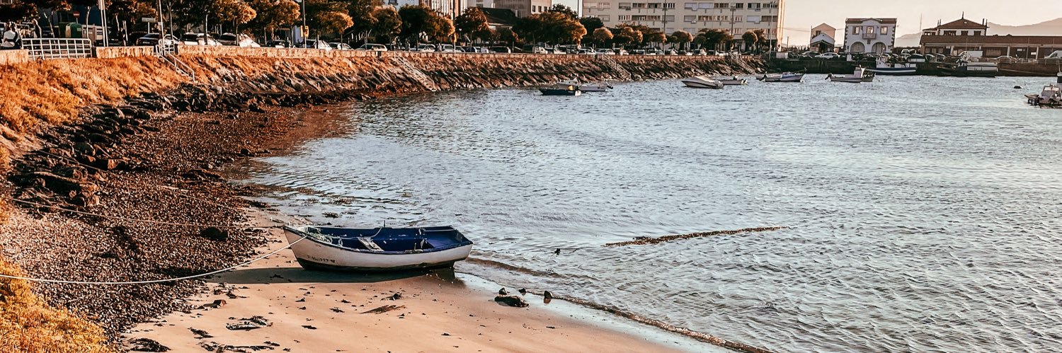 Sofia Swidarowicz 👩‍💻 banner