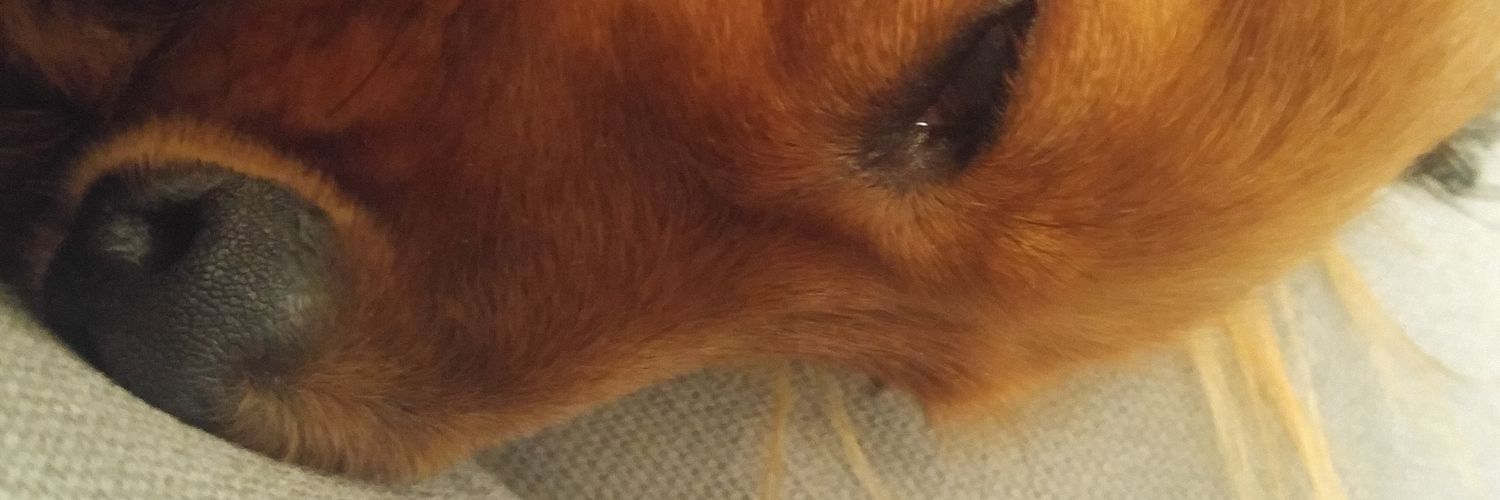 Christopher Zeichmann banner