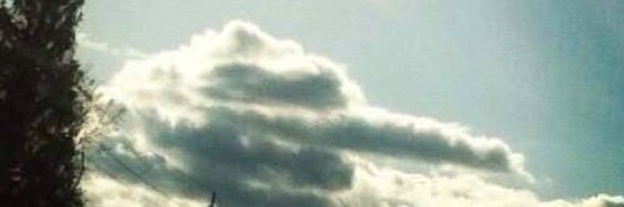 BeaverFever76's profile banner image