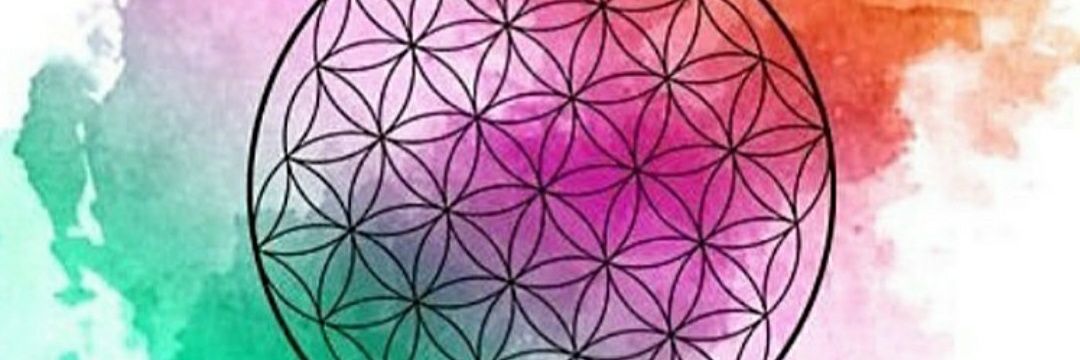 zehra71's profile banner image