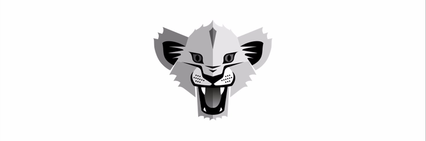 usmpbbasket's profile banner image