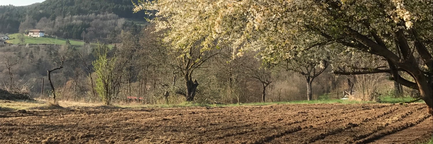 Michele Kettmajer banner