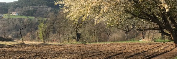 micheket Profile Banner