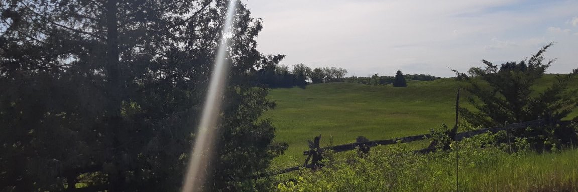 Kate Young-Haddlesey banner