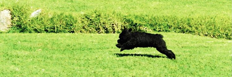 mlemusw's profile banner image