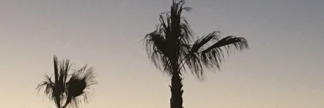 TacuaraJ's profile banner image