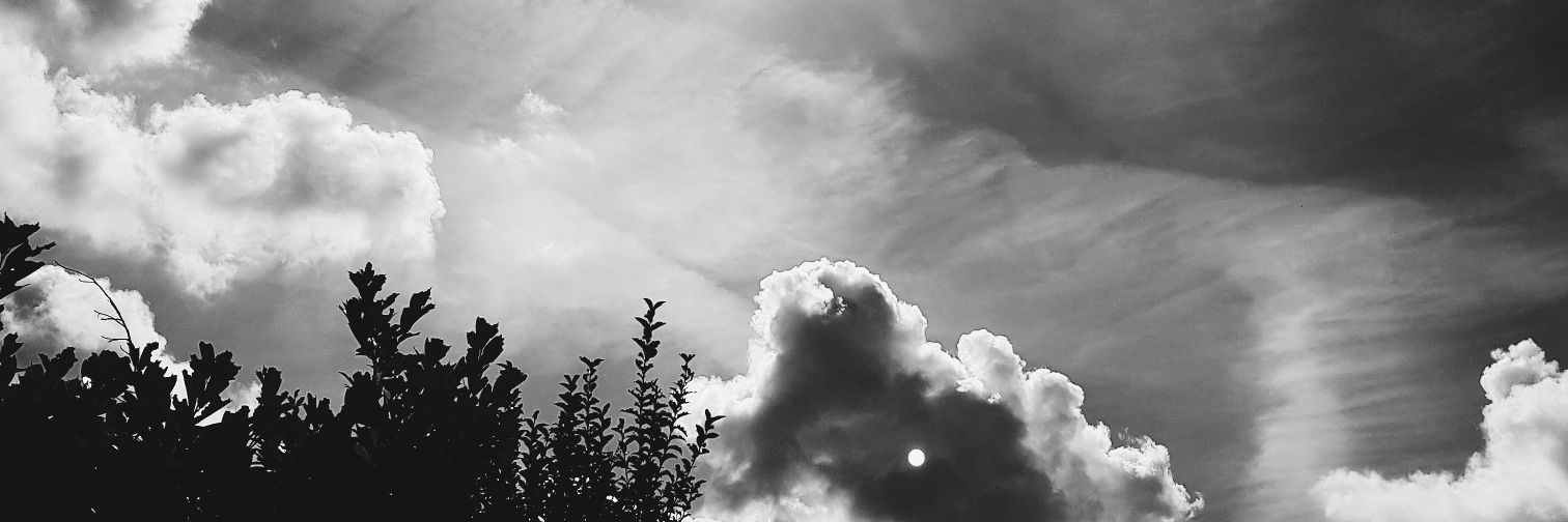 mrseilish's profile banner image