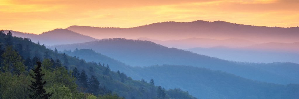 resplendentlyme's profile banner image