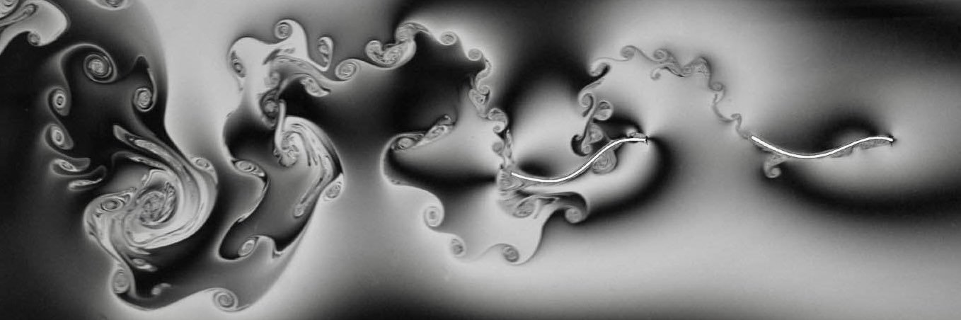 Christopher Cortese banner