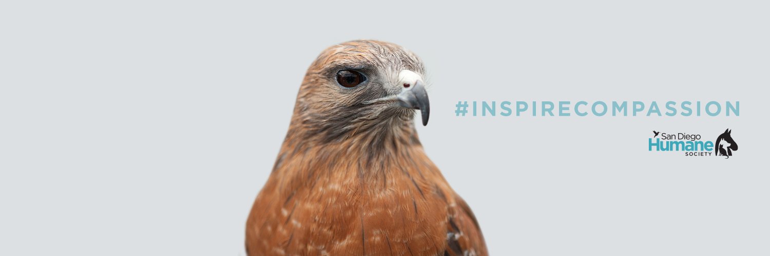 San Diego Humane Society banner
