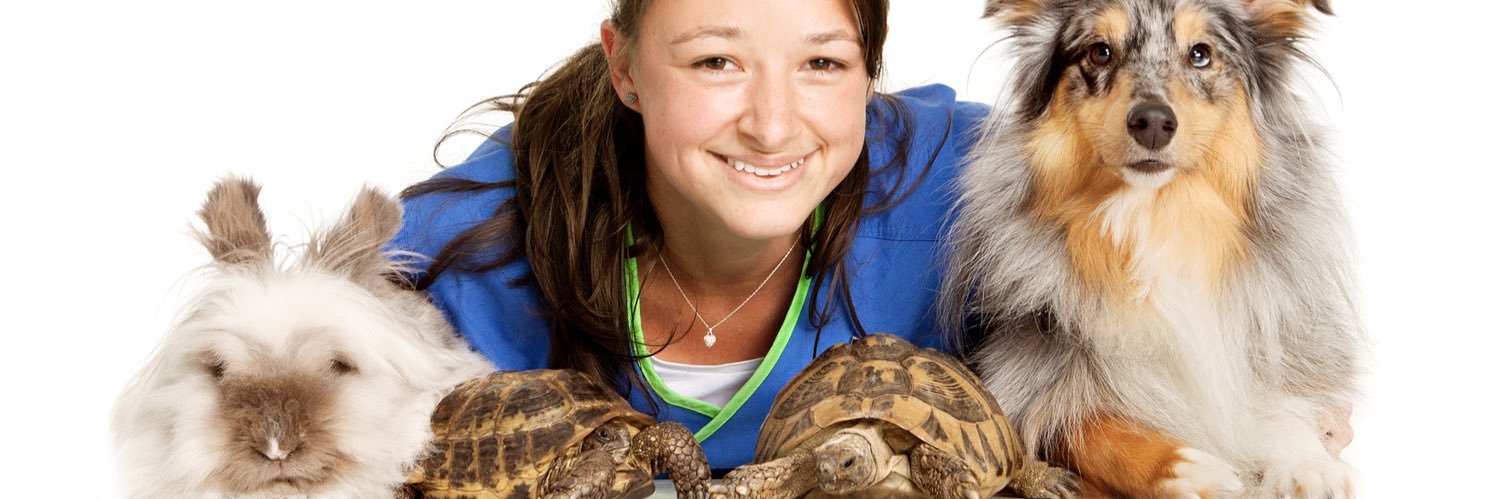 White Cross Vets banner