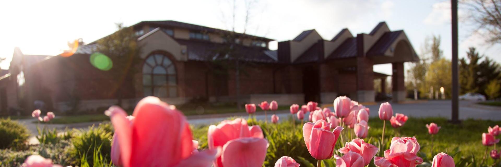 WaverlyLibrary's profile banner image
