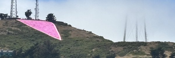 freddillon Profile Banner