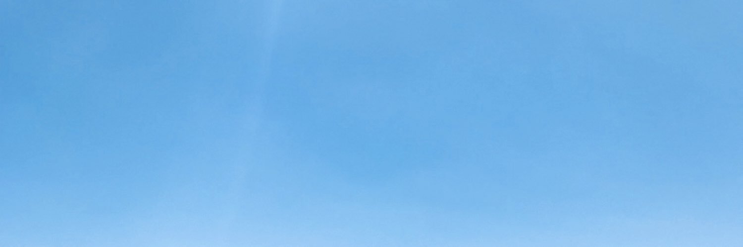 merinesrey's profile banner image
